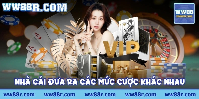 Nhà cái đưa ra các mức cược khác nhau tùy thuộc vào trò chơi